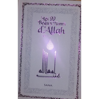 The 99 Beautiful Names of Allah Cover Gray / Green / Turquois FRENCH ONLY